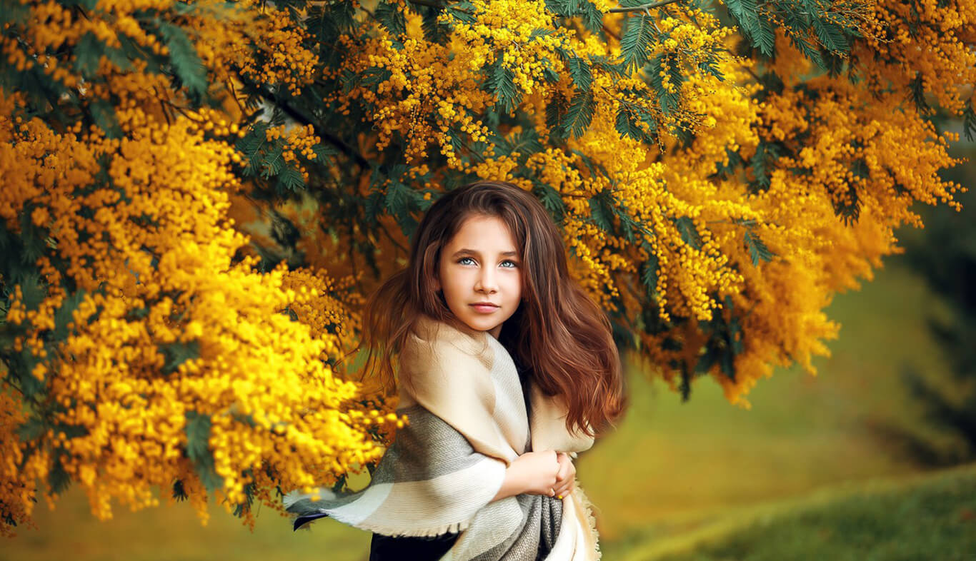 Acacia Flower Symbolism