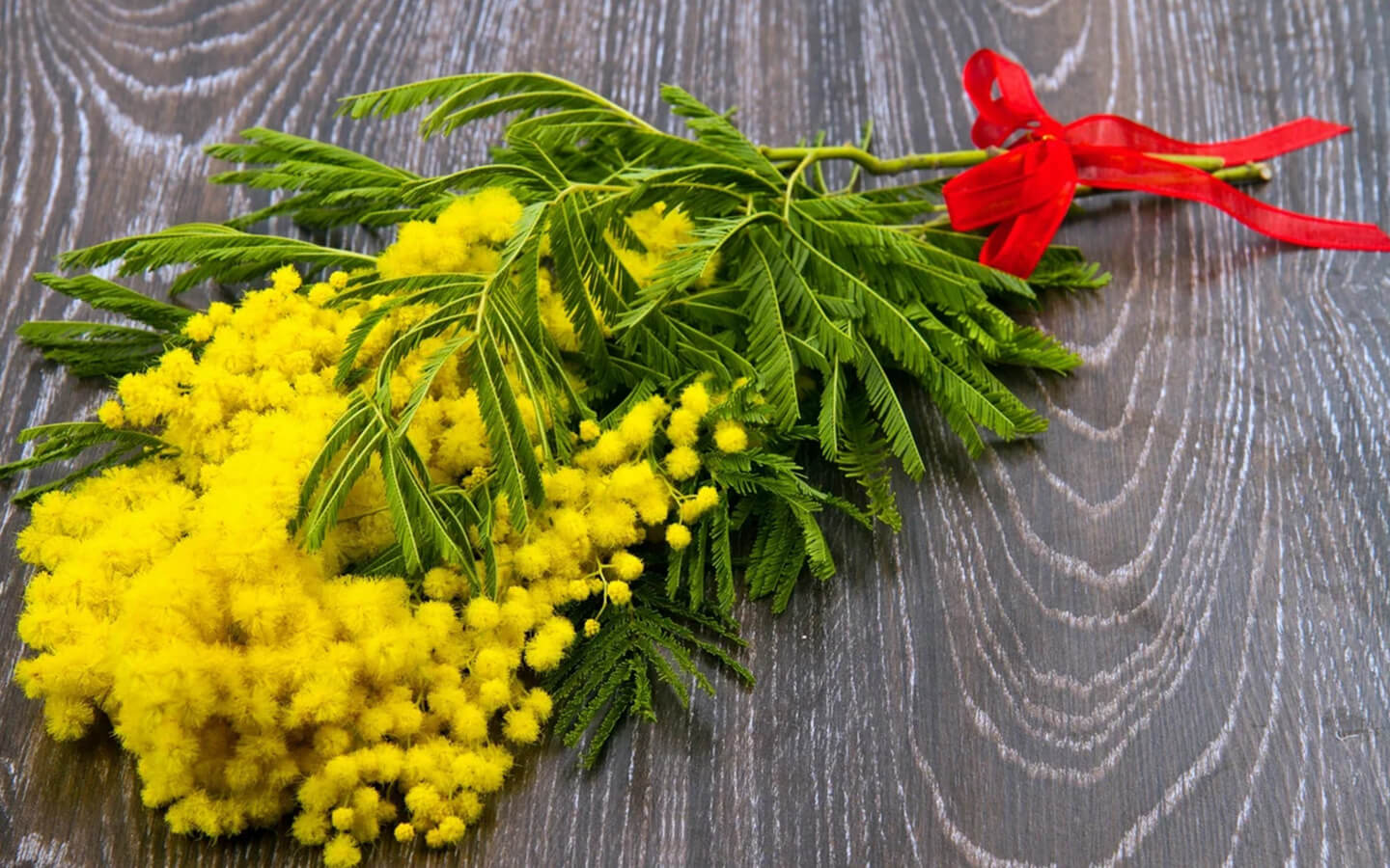 Origin and History of Acacia flower