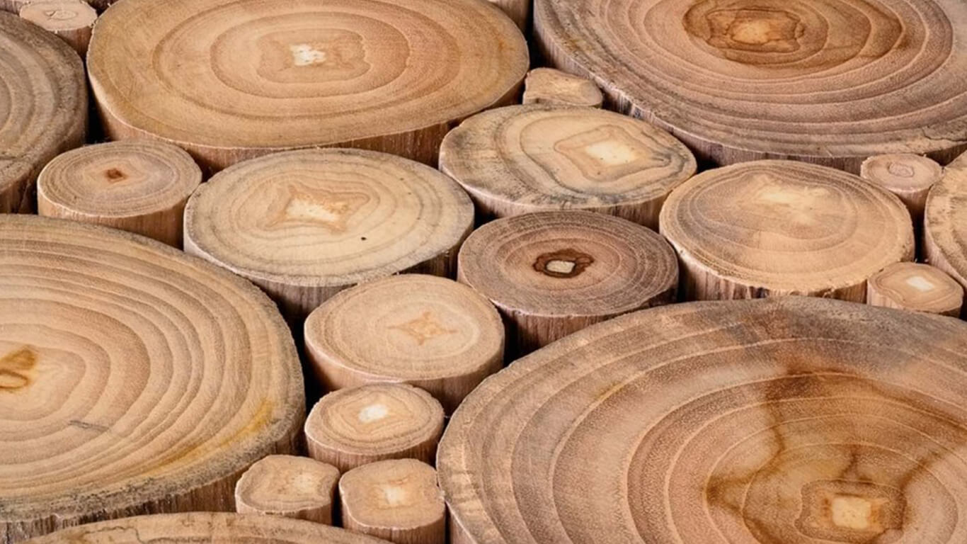 Acacia Wood Comparison