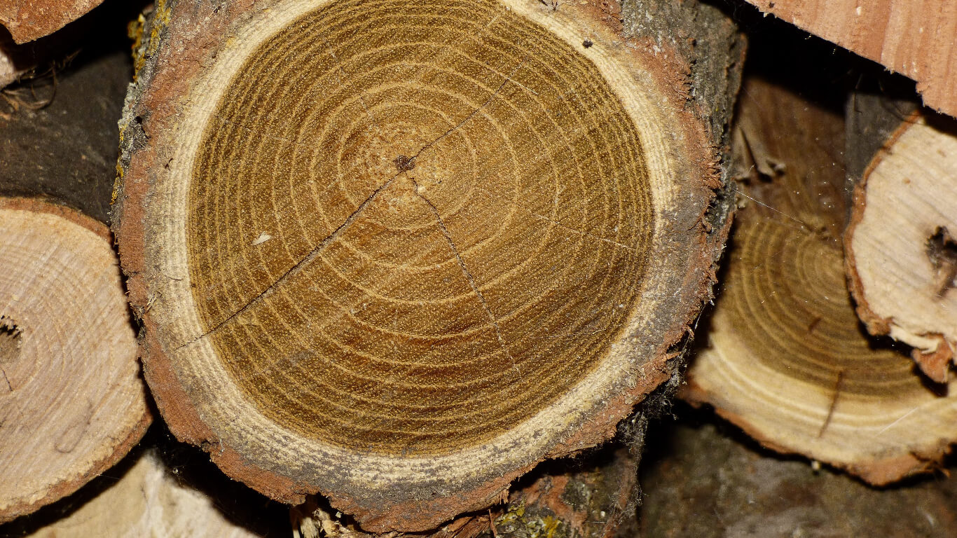 Acacia Wood